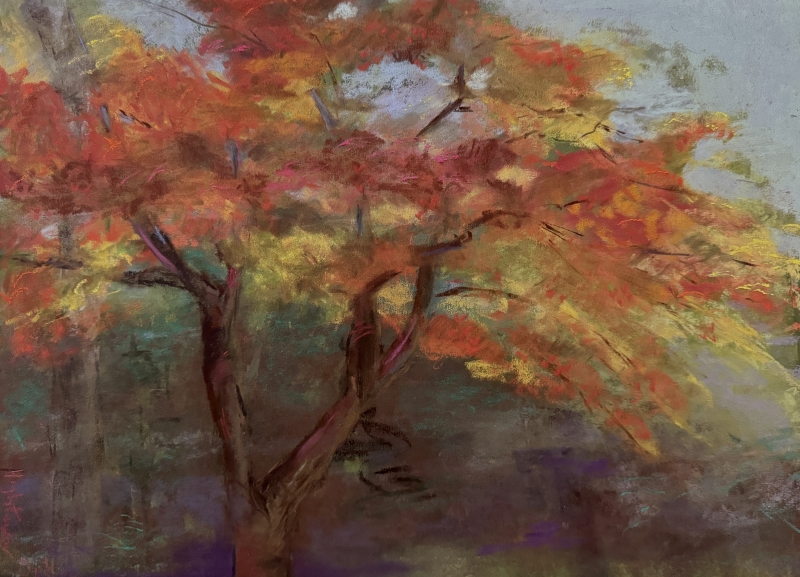 Greenlee Maple by artist Alison Suttle